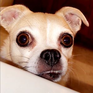 Meet your Posher, Jessa